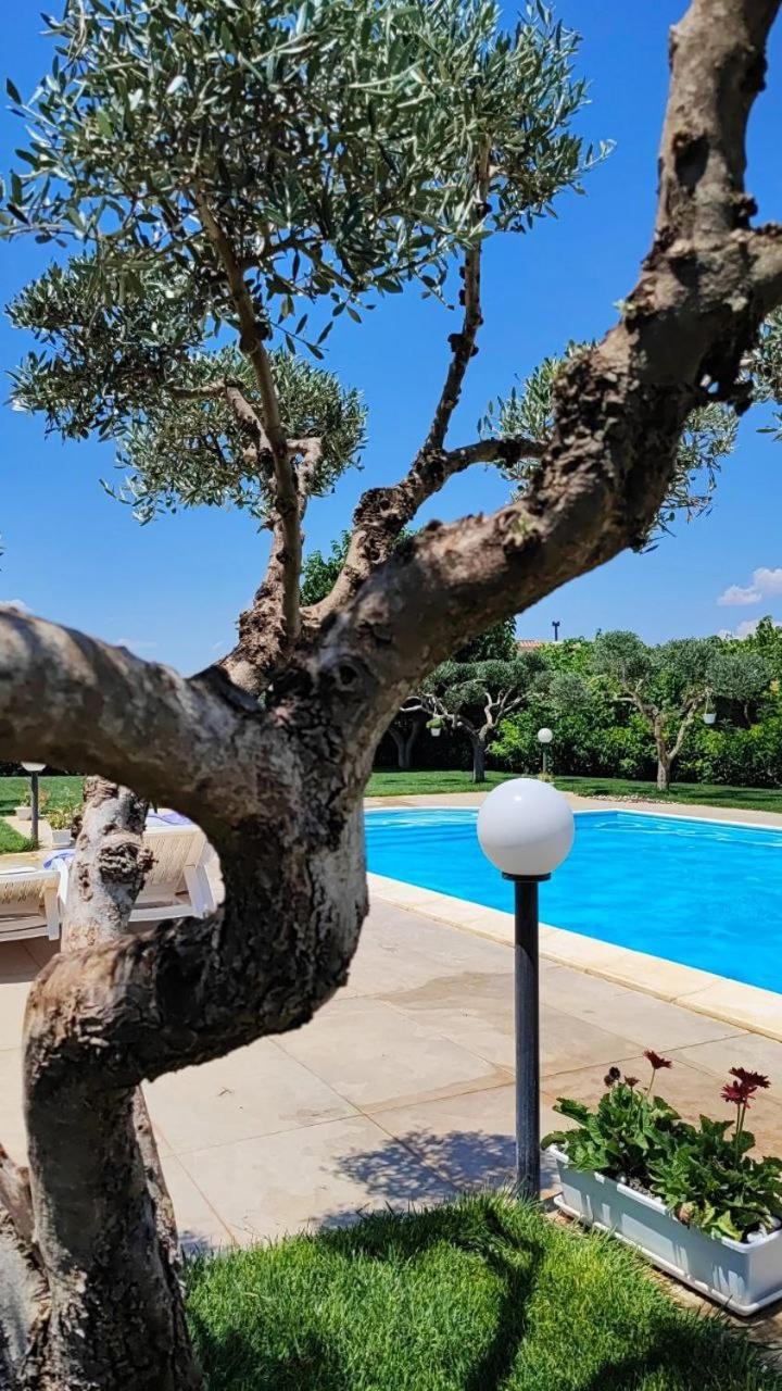 B&B Villa Antonella Piazza Armerina Ngoại thất bức ảnh